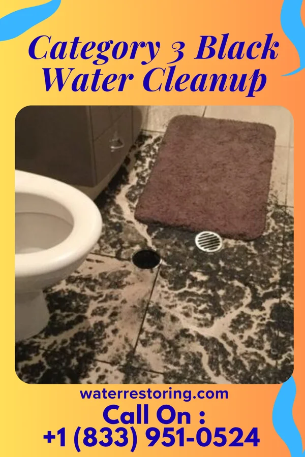Category 3 Black Water Cleanup in Peebles, OH
