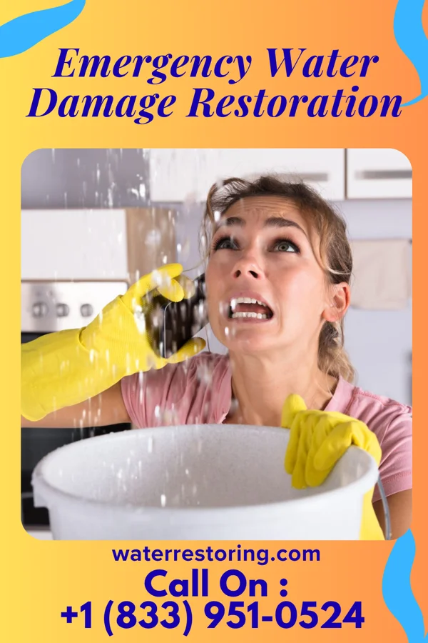 Emergency Water Damage Restoration in Peebles, OH