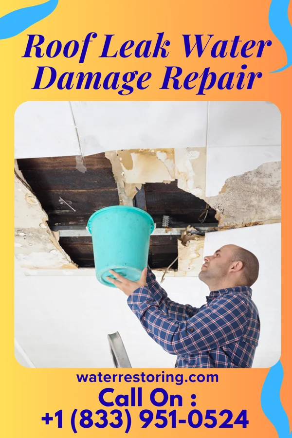 Roof Leak Water Damage Repair in Peebles, OH